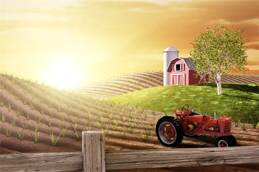 Agriculture Farming Background - Pagi Hari Sibuk Pertanian Segar Matahari