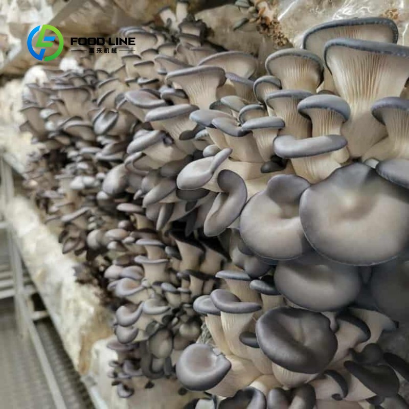 Pertanian Kontainer Modular un - Farming Agriculture Project ulasan dan harga