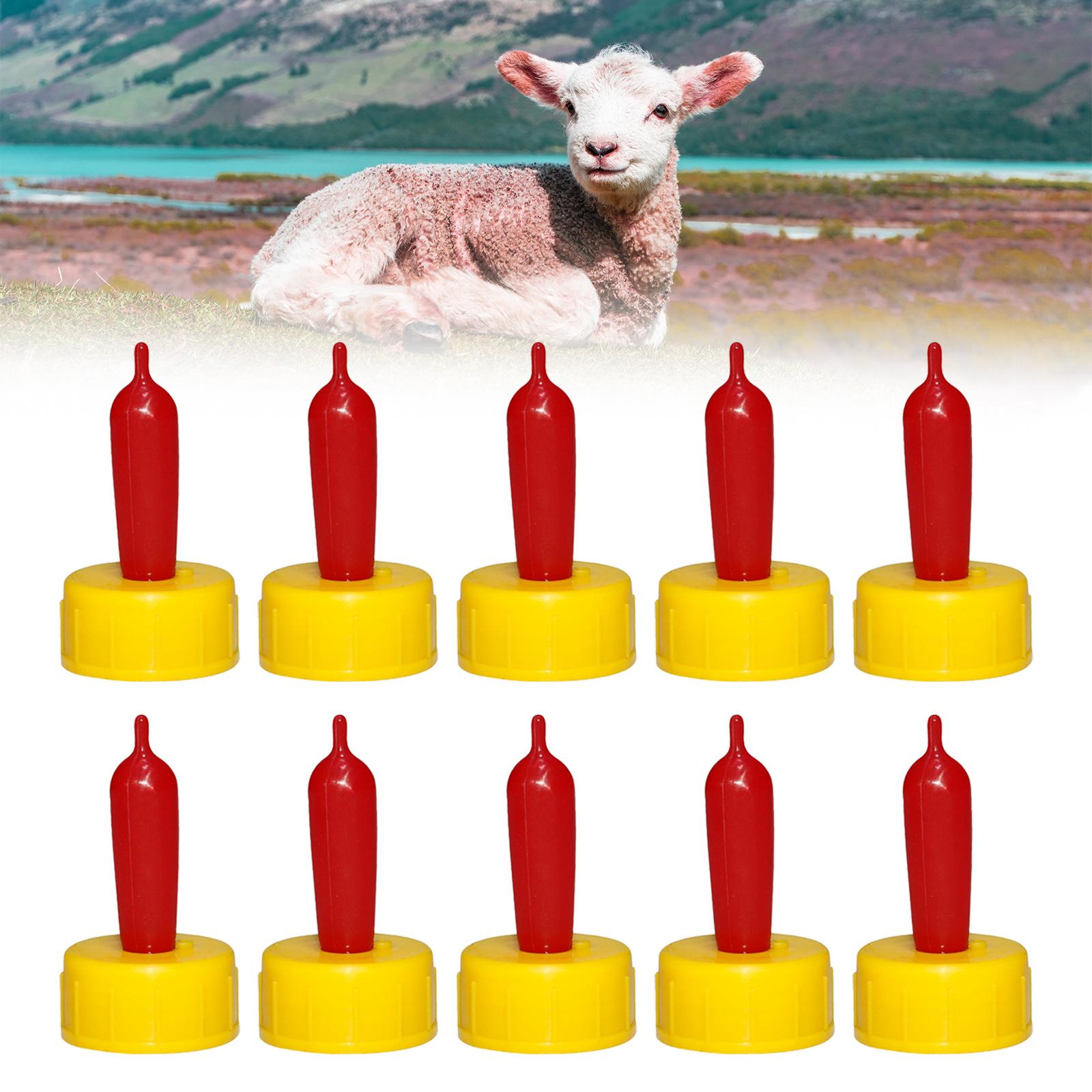 Penghisap Puting Karet Lembut  - Agriculture Goat Farming ulasan dan harga