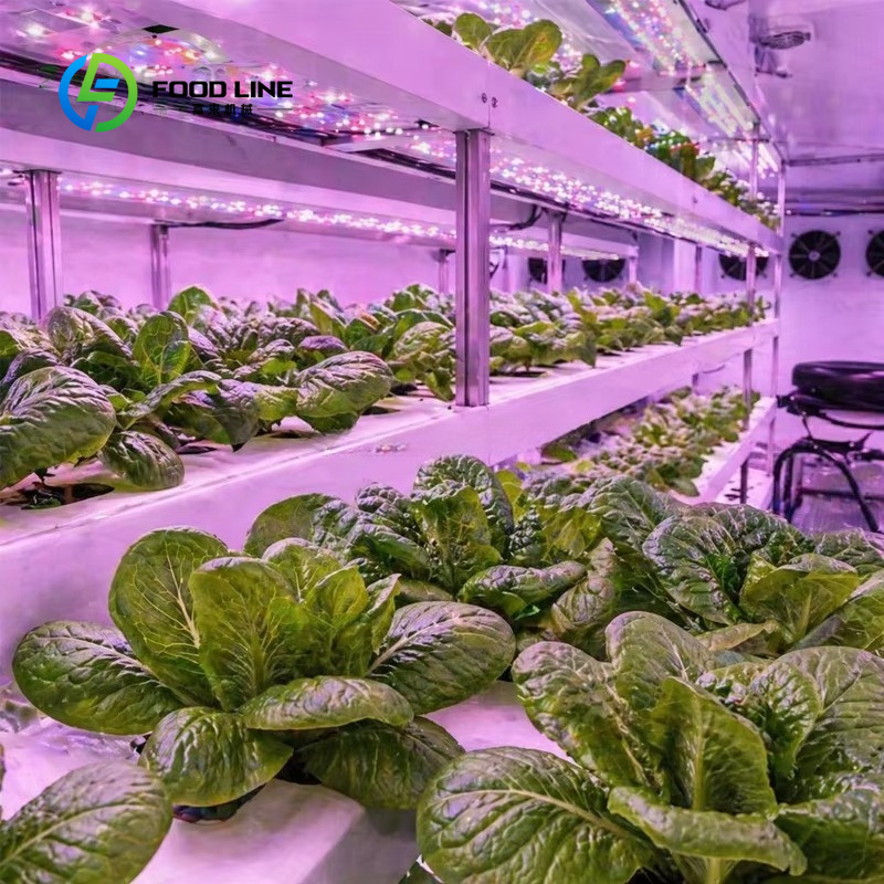 Sistem Pertanian Hidroponik Ko - Farming Agriculture Project ulasan dan harga
