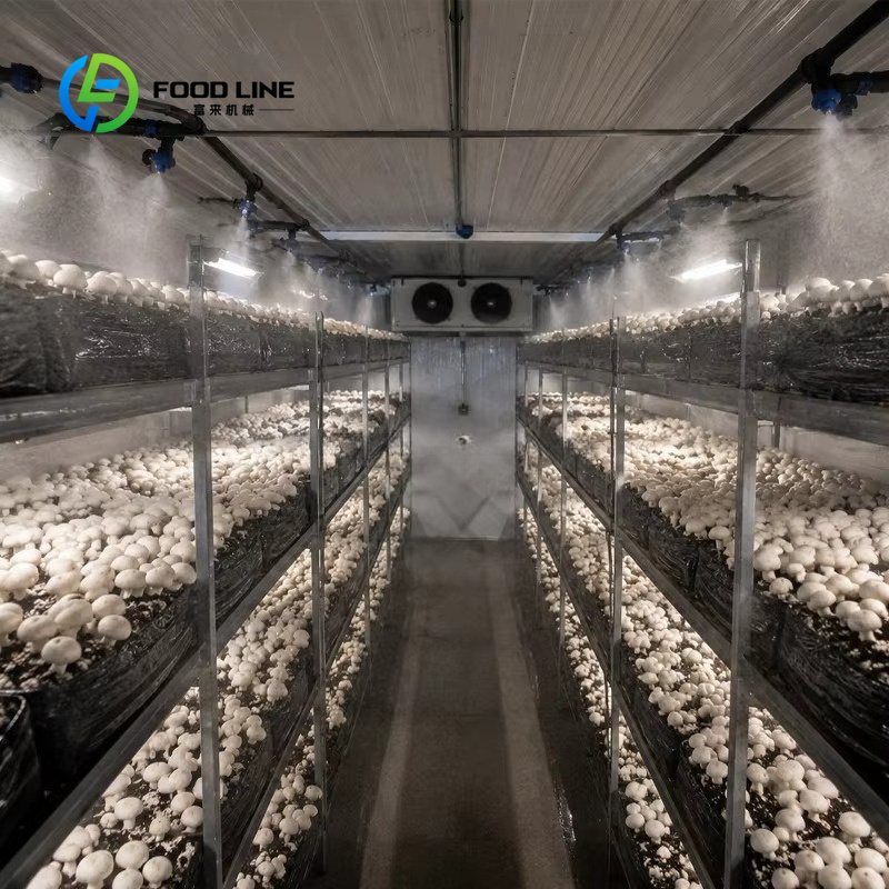 Sistem Pertanian Vertikal Kont - Farming Agriculture Project ulasan dan harga