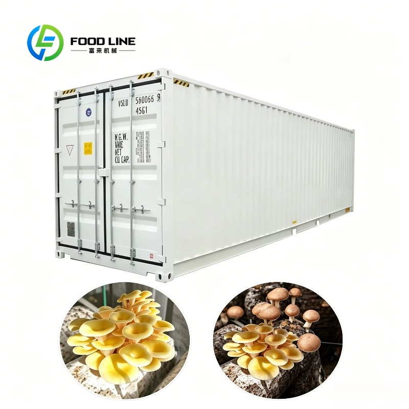 Pertanian Kontainer Hidroponik - Farming Agriculture Project ulasan dan harga