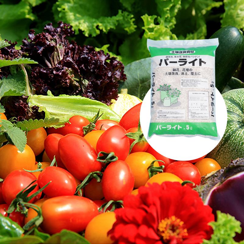 Perlite Massal Untuk Berkebun  - Horticulture Soil Perlite ulasan dan harga